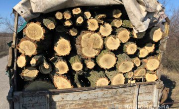 На Днепропетровщине задержали браконьеров с полным кузовом спиленных деревьев 