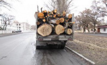 Полицейские в Павлограде задержали грузовик с незаконно вырубленной древесиной