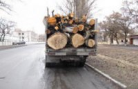 Полицейские в Павлограде задержали грузовик с незаконно вырубленной древесиной