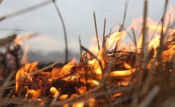 На Днепропетровщине объявлено штормовое предупреждение: 5-й уровень пожароопасности, заморозки и сильный ветер