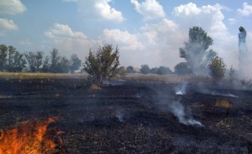 На Днепропетровщине в течение суток случилось 16 пожаров в экосистемах