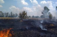 На Днепропетровщине в течение суток случилось 16 пожаров в экосистемах