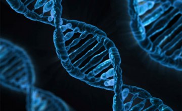  Ученые удалили из ДНК человека ген, отвечающий за заболевание
