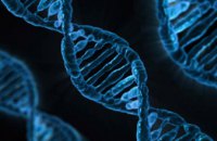  Ученые удалили из ДНК человека ген, отвечающий за заболевание