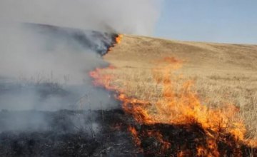Этой весной на Днепропетровщине более 300 раз горела сухая трава и стерня