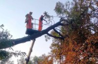 У Дніпрі через шквальний вітер комунальники працюють у посиленому режимі