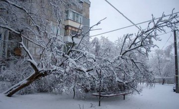 «Снежный Армагеддон» на Днепропетровщине: сотни сломанных деревьев и дома без света и отопления (ФОТО)