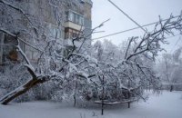 «Снежный Армагеддон» на Днепропетровщине: сотни сломанных деревьев и дома без света и отопления (ФОТО)