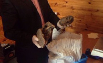 В Ровенской области СБУ изъяла у старателей 115 кг янтаря (ВИДЕО)