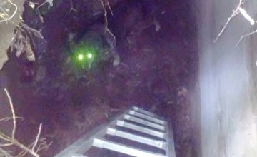 В Днепропетровской области спасатели достали собаку с 3-метрового люка (ФОТО)