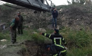 В Донецкой области спасатели вытащили из ямы корову (ФОТО)