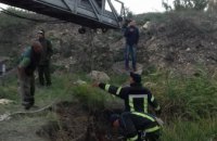 В Донецкой области спасатели вытащили из ямы корову (ФОТО)