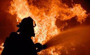 На Днепропетровщине при пожаре в частном доме погибла 94-летняя пенсионерка