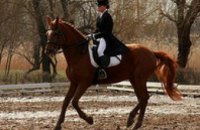 В Днепропетровске пройдут соревнования по конному спорту