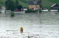 Виновниками наводнений в Польше называют бобров 