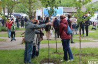 В Днепре в рамках программы Геннадия Гуфмана «Социальная реконструкция» появился Кленовый сад на ж/м Тополь (ВИДЕО)