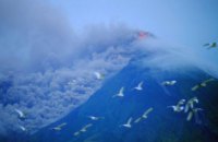 ​На Филиппинах началось извержение вулкана (ВИДЕО)