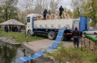 В этом году в Днепр для очистки реки выпустят 1,2 миллиона мальков - Валентин Резниченко