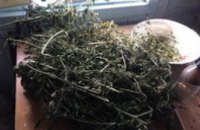 У ранее судимого жителя Запорожья изъяли более 3 кг «марихуаны»