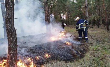В Днепропетровской области спасатели ликвидировали лесной пожар (ВИДЕО)