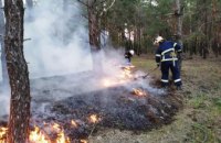 В Днепропетровской области спасатели ликвидировали лесной пожар (ВИДЕО)