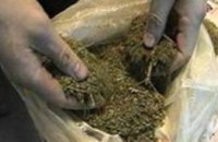 В Запорожье безработный вырастил марихуаны на 1 млн грн в собственном доме