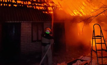 В Новомосковском районе загорелась хозпостройка: пострадала домашняя птица