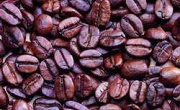 Кофейные зерна помогают в лечении слабоумия