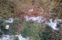 В Павлоградском районе местный житель во время пьянки убил своего собутыльника