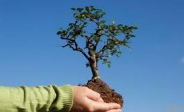 Днепрян приглашают поучавствовать в акции «Посади дерево – спаси город!»