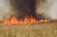 В Днепропетровской области сгорело 5 га пшеницы