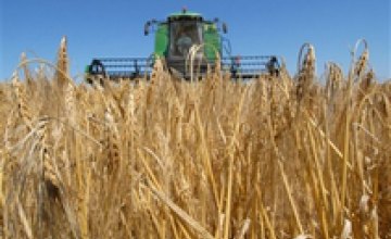 Днепропетровщина начала собирать поздние зерновые культуры