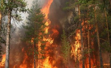 С 5 августа в Днепропетровской области объявлен наивысший класс пожароопасности 
