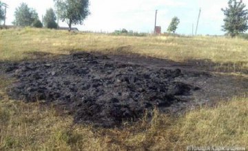 В Харьковской области дети играли в соломе и случайно подожгли ее, один ребенок погиб