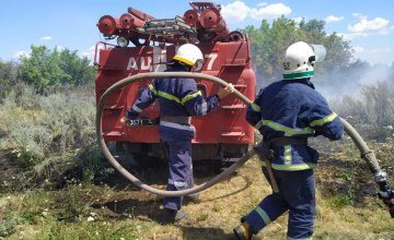 В Петропавловском районе произошел масштабный пожар в экосистеме: пострадало 2 га территории
