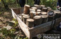 На Днепропетровщине задержали трех «черных» лесорубов