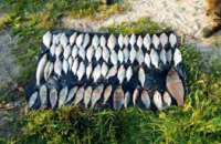 В Днепре задержан рыбный браконьер