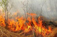 Верховная Рада поддержала введение штрафов в 6 тысяч гривен для поджигателей травы: разъяснения юриста