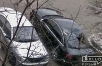 В Кривом Роге ветка упала на автомобиль и разбила стекло (ФОТО)