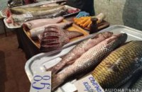 На Днепропетровщине задержаны продавцы незаконно выловленной рыбы