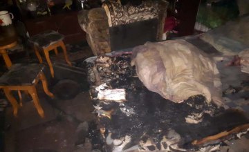 В Новомосковске произошел пожар в частном доме: 7-летний ребенок в реанимации