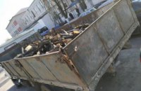 ​ На Днепропетровщине мужчина незаконно вырубил зеленые насаждения