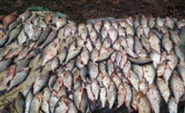 В Черниговской области задержали браконьера, который наловил рыбы на 12 тыс. грн