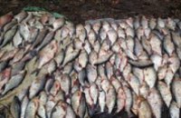 В Черниговской области задержали браконьера, который наловил рыбы на 12 тыс. грн