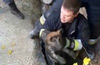 В Днепре 5 спасателей вытащили из коллектора щенка