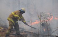 Под Днепром вспыхнул лесной пожар (ФОТО) 