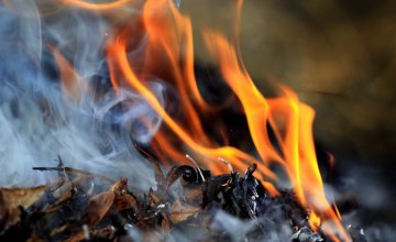 Днепрян штрафуют за сжигание листьев: проверки начала специальная инспекция