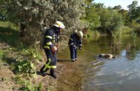 ​На Днепропетровщине в затопленном карьере обнаружили тело 44-летнего мужчины