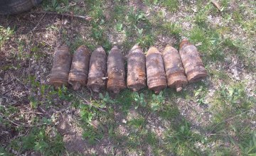 На Днепропетровщине во время выпаса скота местный житель обнаружил восемь артиллерийских снарядов