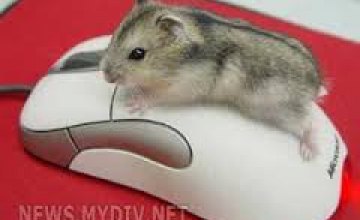 В Японии изобрели компьютерную мышку, которая измеряет уровень стресса